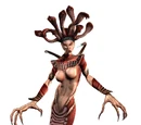 Medusa