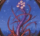 Tentacula vénéneuse