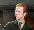 Junior Assistant to the Minister for Magic