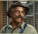 Aunt Bee's Suitors