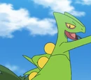 Ash's Sceptile