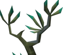 Spinebeam tree