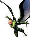 Vulture.jpg
