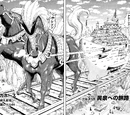 Volume 15