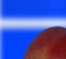 Apple Trebek