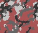 Urban Camouflage