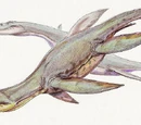 Simolestes
