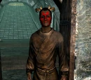 Dremora Merchant