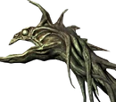 Miraak's Staff