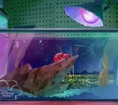 Lover's Tank