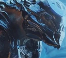 Covenant Remnant