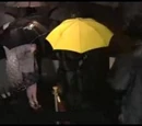 Yellow Umbrella