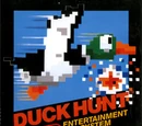 Duck Hunt