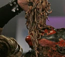 Wildest Superstars in WWE