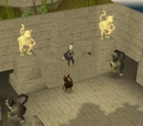 Monkey Madness