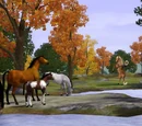 The Sims 3: Pets