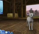 Create a Pet/The Sims 3