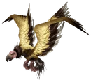 Condor