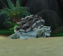 Ancient Island Turtle