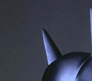 Bruce Wayne (Burtonverse)