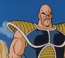 Saiyan conflict