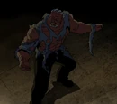 Invulnerability