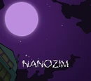 NanoZIM