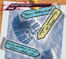 Card 256: Footprint