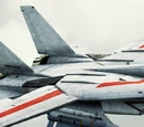 F-14D "VF-1J & VF-1S Valkyrie"