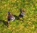 Aztecs (Age of Empires III)/Strategy