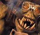 Ork