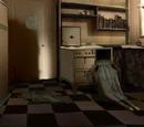 1950s Kitchen (You're Going to Die in There)