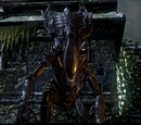 Praetorian