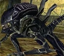 Warrior (LV-1201)