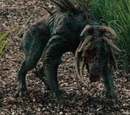 Hell-hound