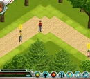 Newbie Road