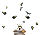 Beehive