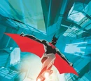 Batman (Terry McGinnis)