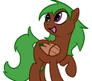 Ivy Song