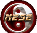 New Era Of Sports Entertainment