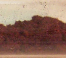 Phosphorus