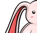 Stuffed Bunny