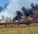 Imperial Wildfire Division