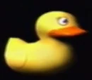 Quacker