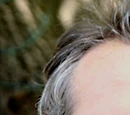 Dan Dworkin