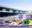 Dog race show