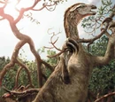 Nothronychus