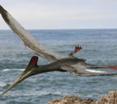 Pterodactylus