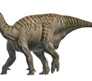 Iguanodon