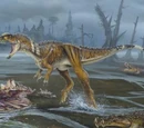 Rugops